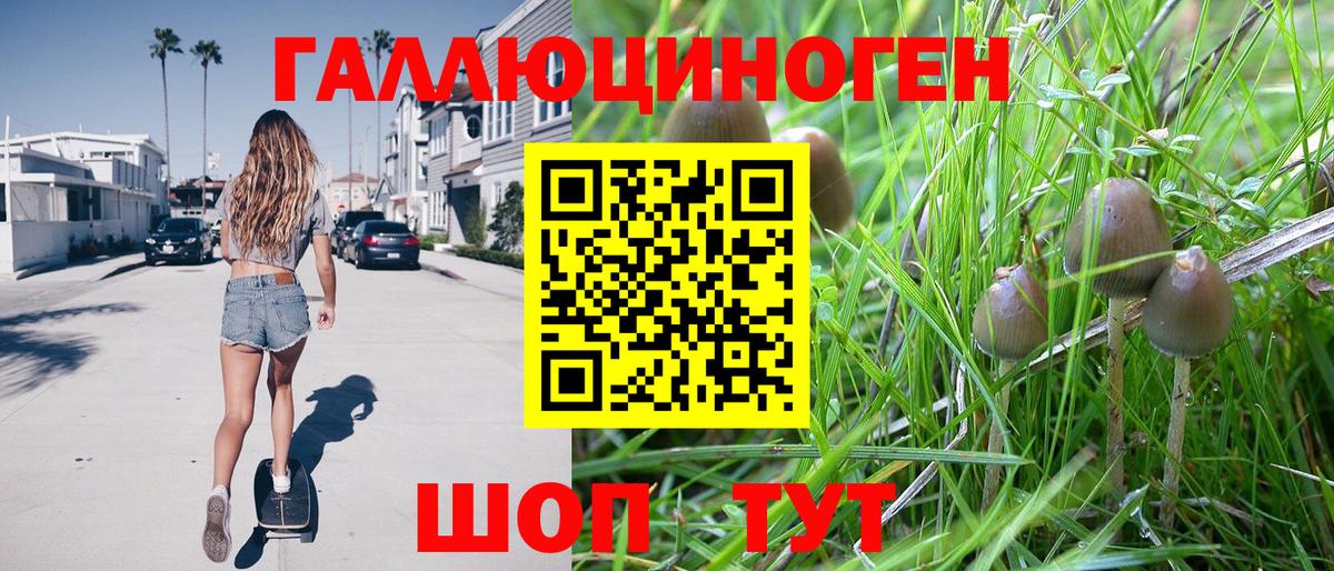 Псилоцибиновые грибы Psilocybe Бузулук