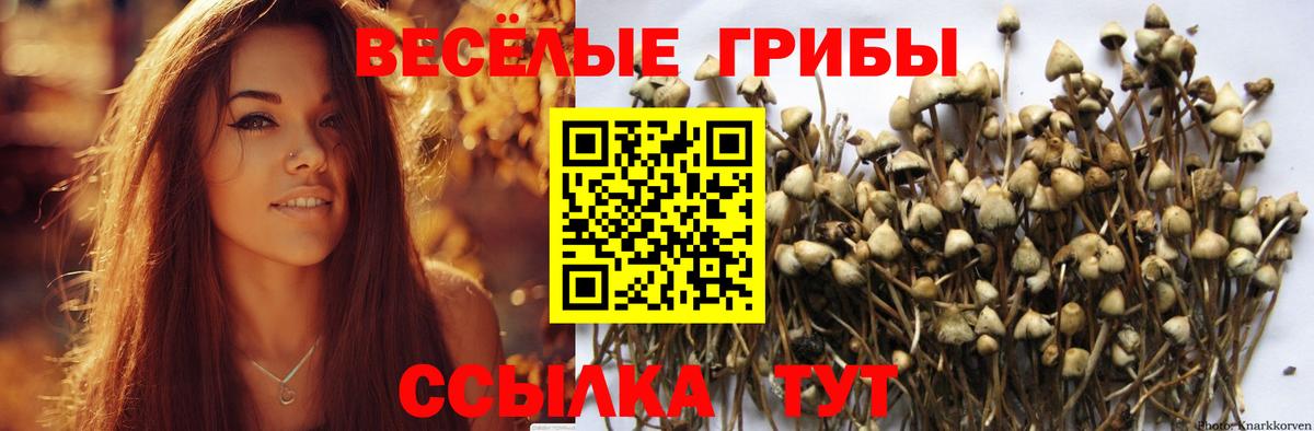 Псилоцибиновые грибы мухоморы  Вход с VPN  Бузулук  Галлюциногенные грибы Psilocybine cubensis 